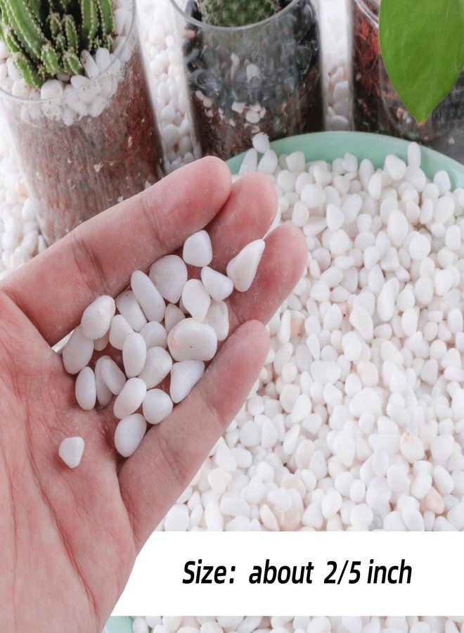 CJGQ 2.4lb 1/4" Small White Rocks for Plants,Potting,Succulents Aquarium Fish Tank Garden Vases Decorative Pebbles Gravel Rocks Stones - Image 3